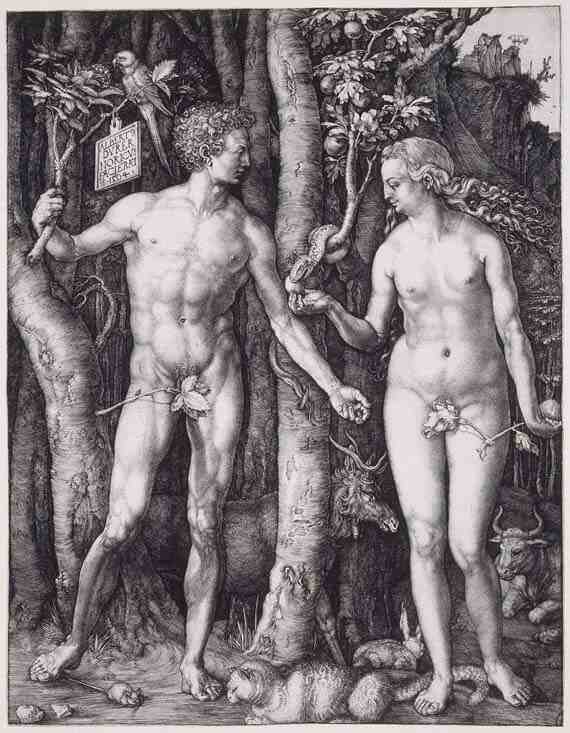Albrecht Dürer , The Fall of Man