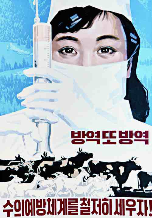 North Korean Propaganda Poster: prevent epidemics