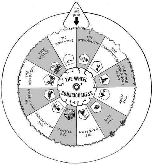 Wheel of Consciousness
