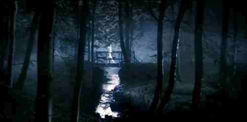Lars von Trier's Antichrist (2009) - Bridge in the Woods
