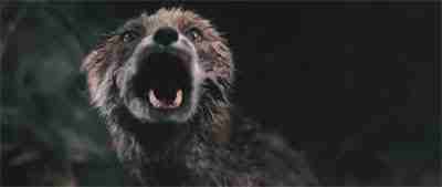 Lars von Trier's Antichrist (2009) - Chaos Reigns