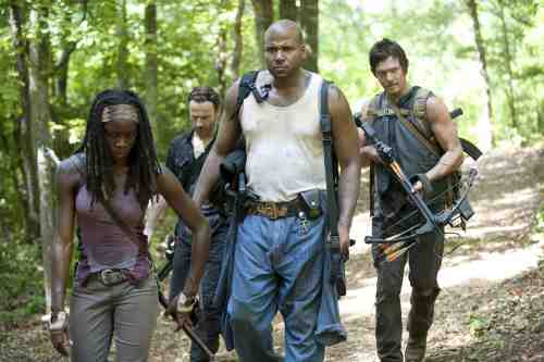 Walking Dead Michonne group