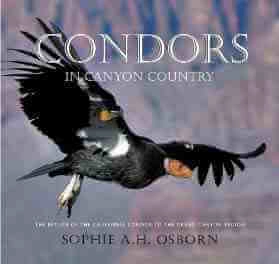 Sophie Osborn on Saving the California Condor 2