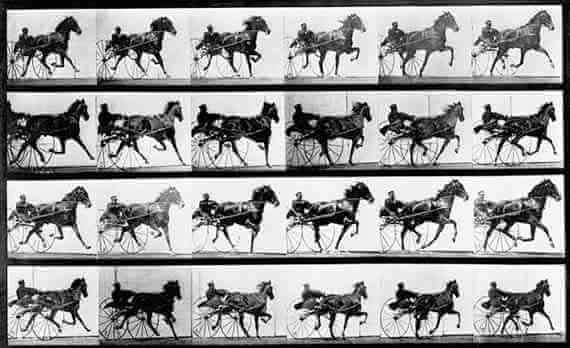 Eadweard Muybridge: Occident Trotting