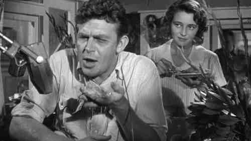 Andy Griffith on the rise as Lonesome Rhoads