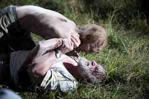 Dale zombie attack S02E11