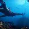 AC4 Kenway Swimming Underwater